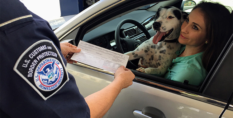 Consultancy Services